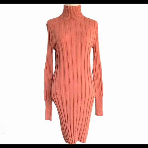 American Eagle Outfitters Dresses & Skirts - American Eagle Turtleneck Ribbed Sweater Dress NEW